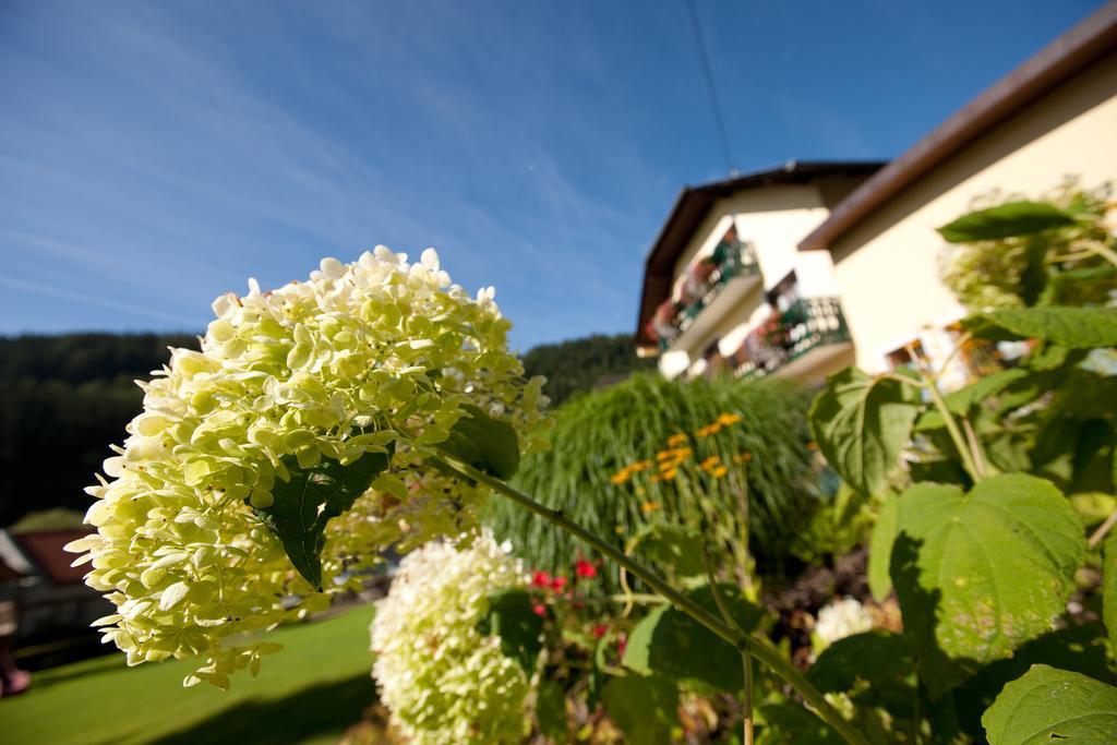Hotel Moenichwalderhof Monichwald エクステリア 写真